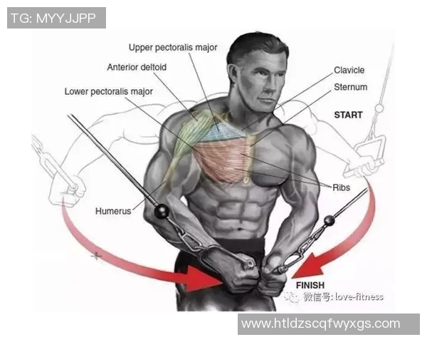 哑铃练胸肌的最佳动作及每组次数推荐详解